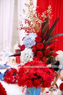 海芋婚禮 蘇州婚慶禮儀服務(wù)的專業(yè)選擇